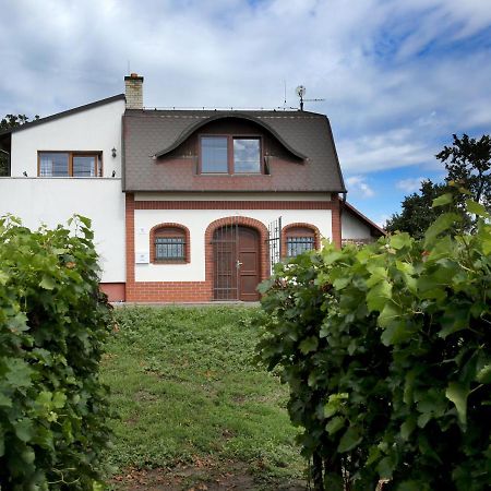 Ubytovani U Vyskocilu Prušánky Exterior foto